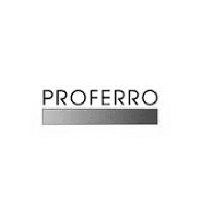 Logo-PROFERRO