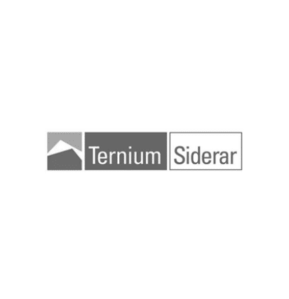 Logo-TERNIUM SIDERAR